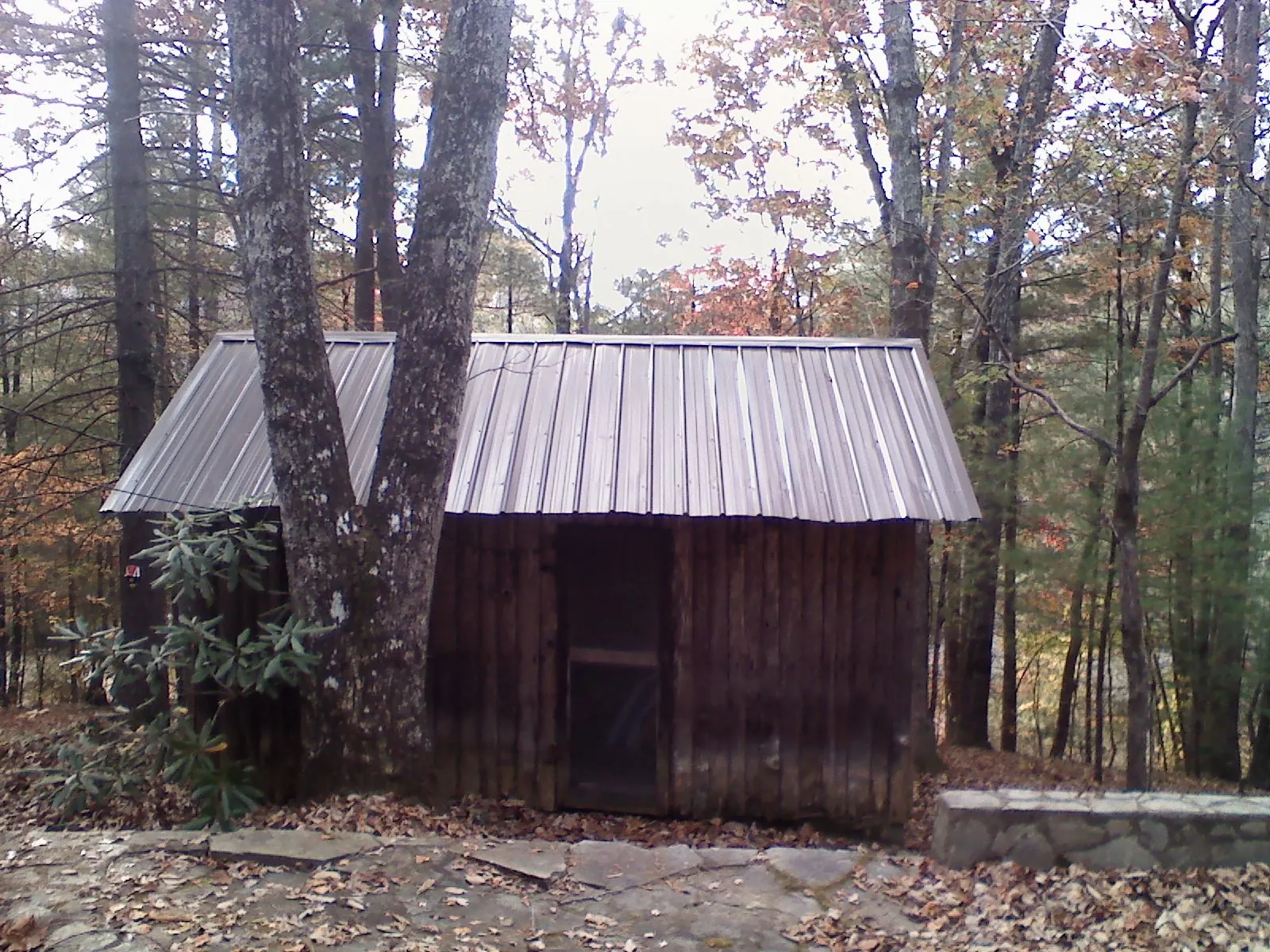 New metal gable roof on a small log shed among the trees in Patton